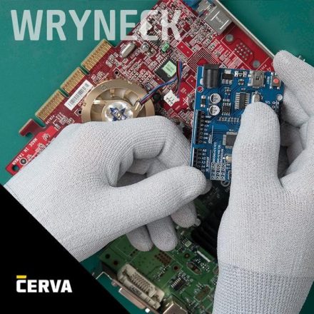 Wryneck ESD kesztyűk